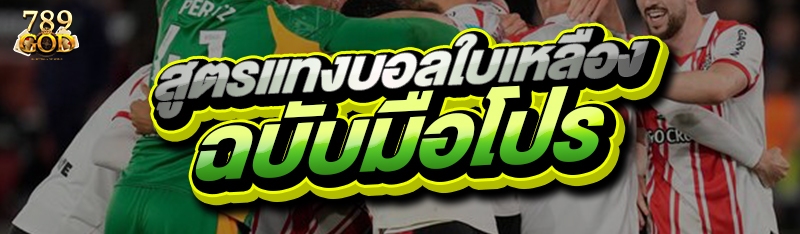 สูตรแทงบอลใบเหลือง ฉบับมือโปร